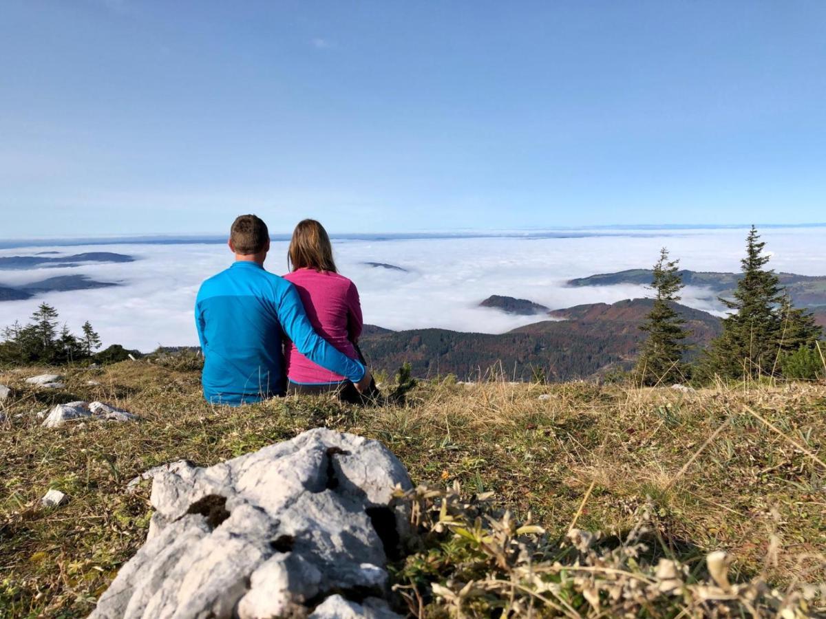 Ferienwohnungen Jodlbauerhof Weyregg am Attersee Dış mekan fotoğraf