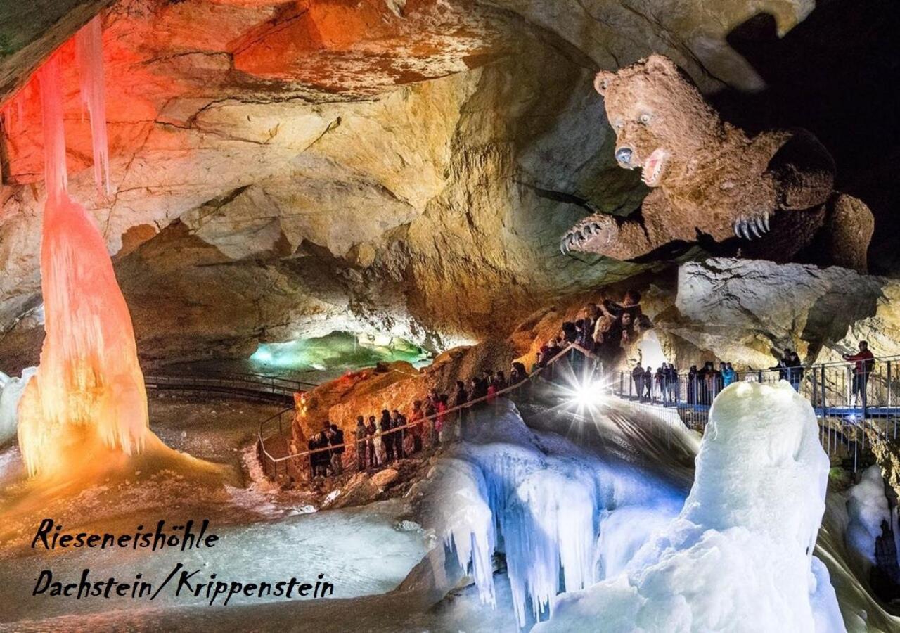 Ferienwohnungen Jodlbauerhof Weyregg am Attersee Dış mekan fotoğraf