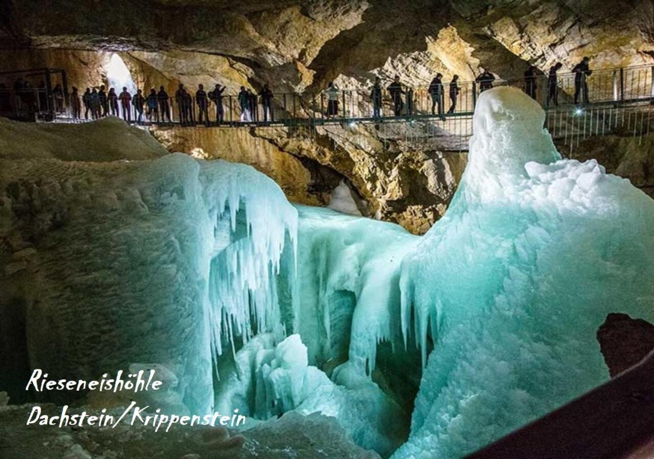Ferienwohnungen Jodlbauerhof Weyregg am Attersee Dış mekan fotoğraf