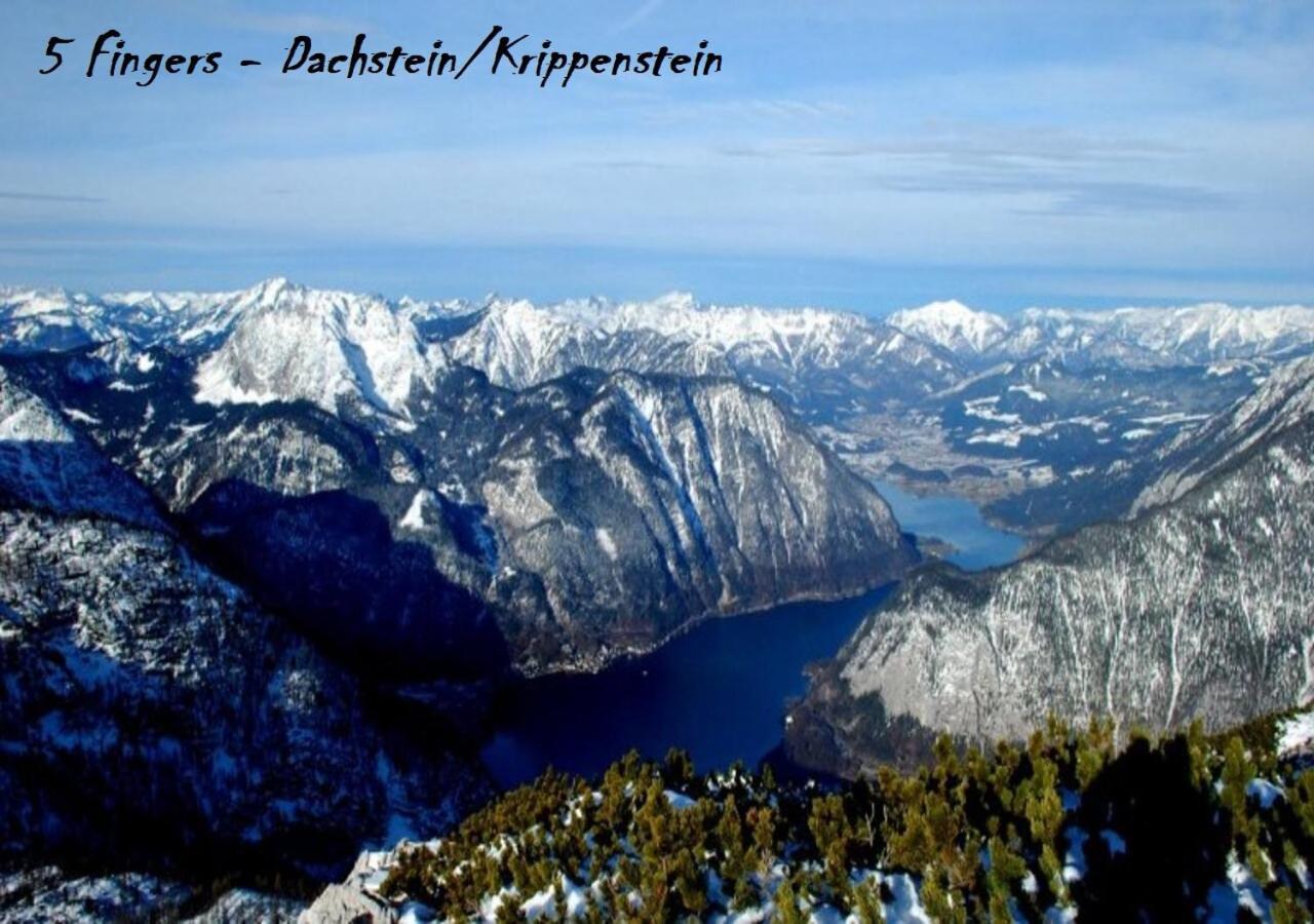 Ferienwohnungen Jodlbauerhof Weyregg am Attersee Dış mekan fotoğraf